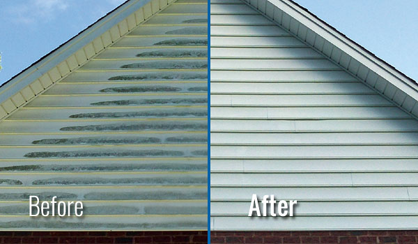 Washing Siding Service